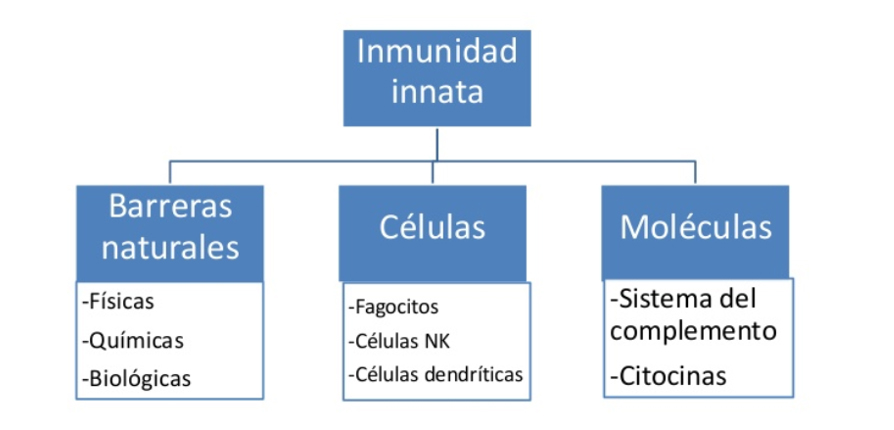 Inspiración pizarra Previamente cuales son las barreras del sistema